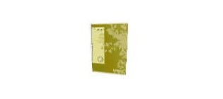 Cahiers Recyclé 70g